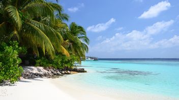 There Is A Ban On Entry, The Israeli Government Asks Its Citizens Not To Travel To The Maldives