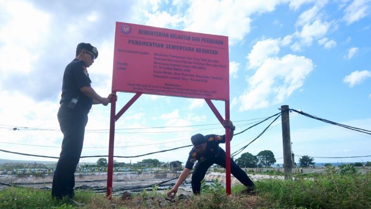 KKP Hentikan Aktivitas 7 Tambak Udang Vaname di NTB