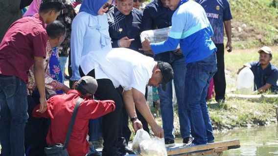 Jaga Ketahanan Pangan dan Cegah Stunting, Gubernur Maluku Tebar 1.500 Benih Ikan Nila