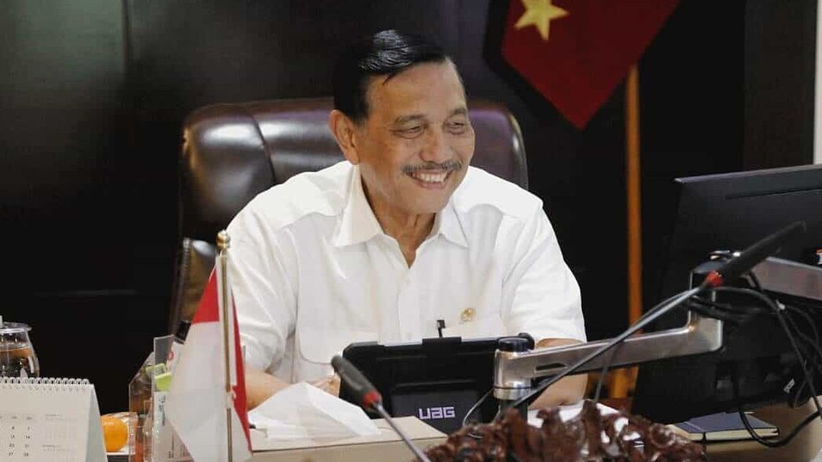 Coordinating Minister Luhut Admits There Is A Monopolistic Practice Of Lobster Seed Exports