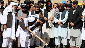 Tangani Pengangguran dan Kelaparan di Afghanistan, Pemerintah Taliban Lakukan Program Padat Karya dengan Upah Gandum