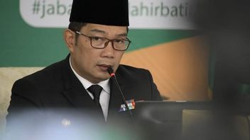 Asking Ulama To Calm Down, Ridwan Kamil Confirms There Are Indications Of Al Zaytun Islamic Boarding School To Finance NII