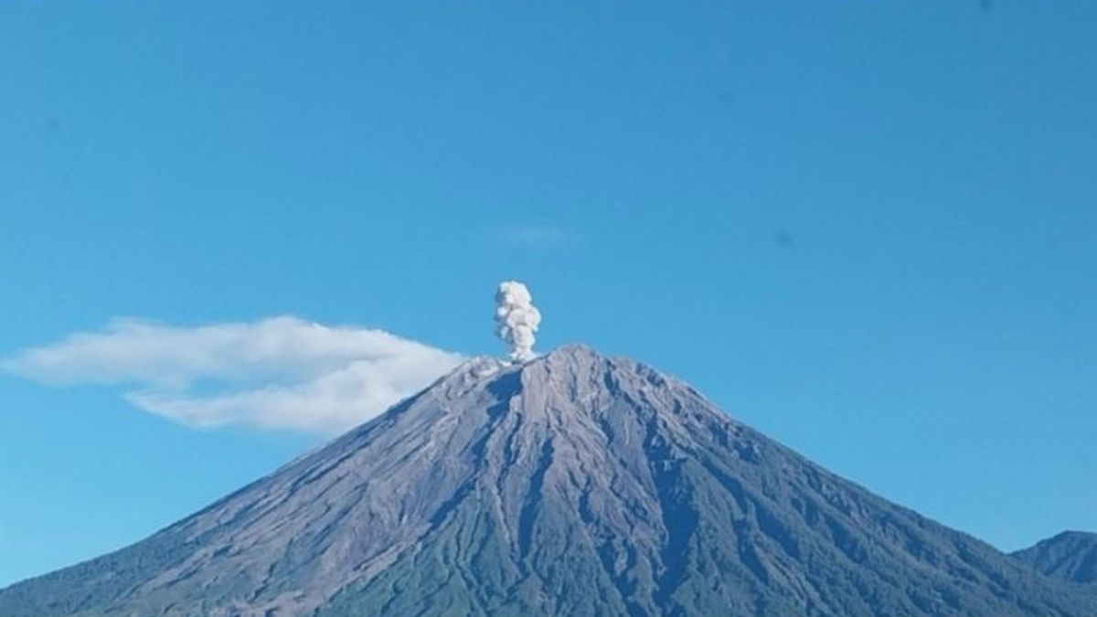 Rekomendasi Keselamatan Dikeluarkan Menyusul Erupsi Semeru dan Dukono Hari Ini