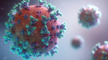 الفيروس الطفرات شائعة ، ولكن المتغيرات الجديدة من COVID - 19 فيروس B.1.1.529 هي استثناءات