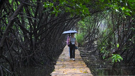 Wisata Alam dan Keberlanjutan Jadi Pilihan Utama Wisatawan Indonesia