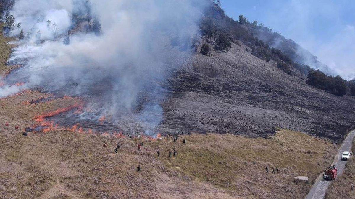 TNBTS大厅覆盖了布罗莫山部分旅游通道