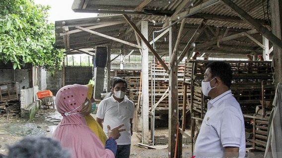 Breeders In Blitar Complain That Chicken Egg Prices Drop, KSP Moeldoko Promises To Find Solutions With The Minister Of Agriculture