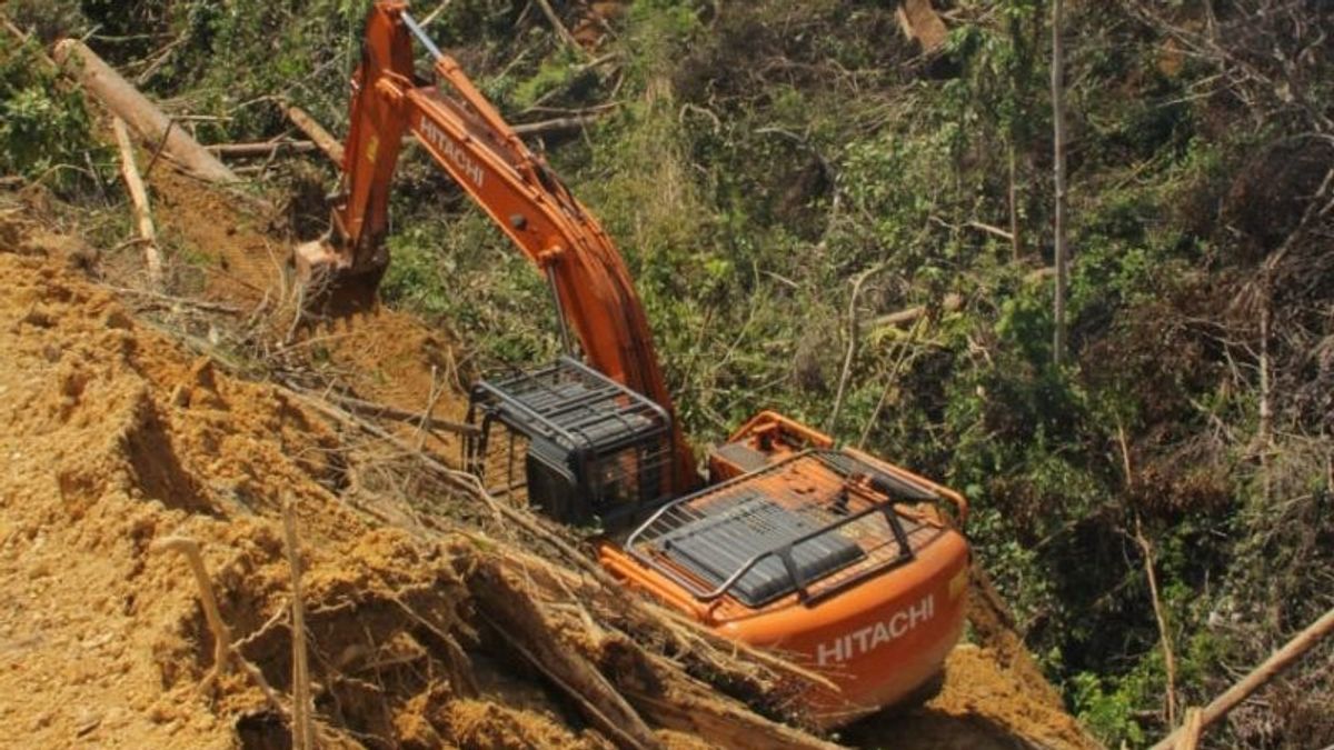 Gubernur Riau Minta DLHK Usut Otak Perambahan Hutan TNBT Inhu