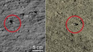 Penjelajah Bulan dari China, Yutu-2 Kirim Gambar Terbaru Sisi Gelap dari Kawah Von Karman