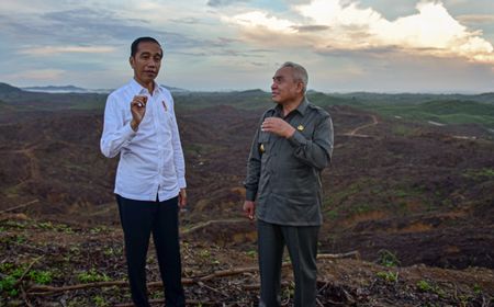 Ahli Perencanaan 'Peringatkan' Jokowi: Ibu Kota Baru Harus Penuhi Standar Pembangunan