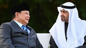 Prabowo–MBZ Bertemu di Qasr Al Bahr, Perkuat Kemitraan Strategis Indonesia–UEA