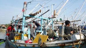 94 Persen ABK Kapal Ikan Tak Bersertifikat, Pengamat: KKP Perlu Kerja Keras