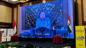 Airlangga Strengthens Synergy Between Indonesia And India To Encourage Economic Growth