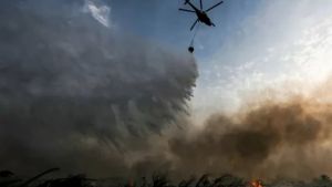 Karhutla Hanguskan 65.000 Hektare Lahan di Gifford Kalifornia Lukai 3 Orang, Api Ancam 460 Rumah Penduduk