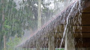 Prakiraan Cuaca Bengkulu 24 Februari, Sejumlah Wilayah Hujan Sedang 