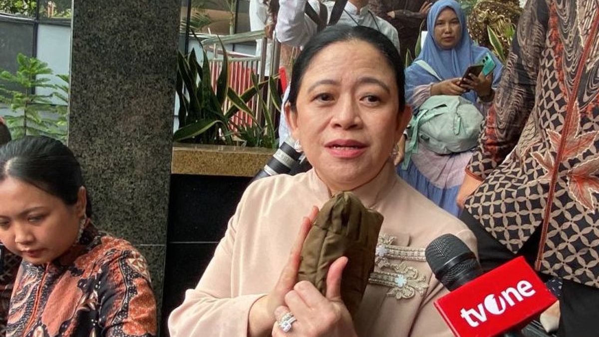 Harga Plastik Melonjak, Puan Minta Pemerintah Cari Solusi Penggunaan Kemasan Alternatif