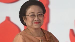 Megawati Terima Anugerah Bali-Bhuwana Mahottama Nugraha ISI Denpasar