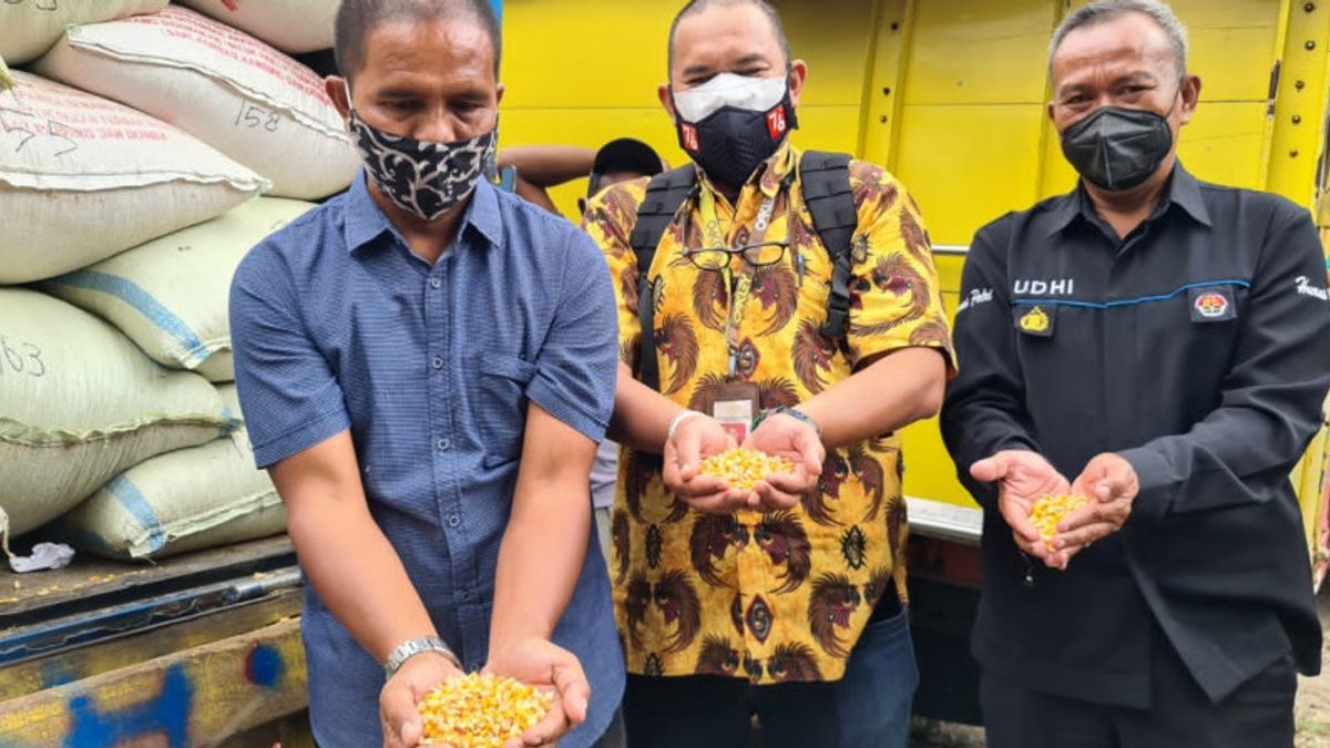 Suroto, Un éleveur De Poulets à Blitar Qui était Viral Pour Avoir Répandu Des Affiches, Envoyé Par Jokowi 2 Camions De Maïs à Pilule Sèche