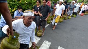    Kadisperindag Duga Kelangkaan LPG 3 Kg di Bali karena Galungan