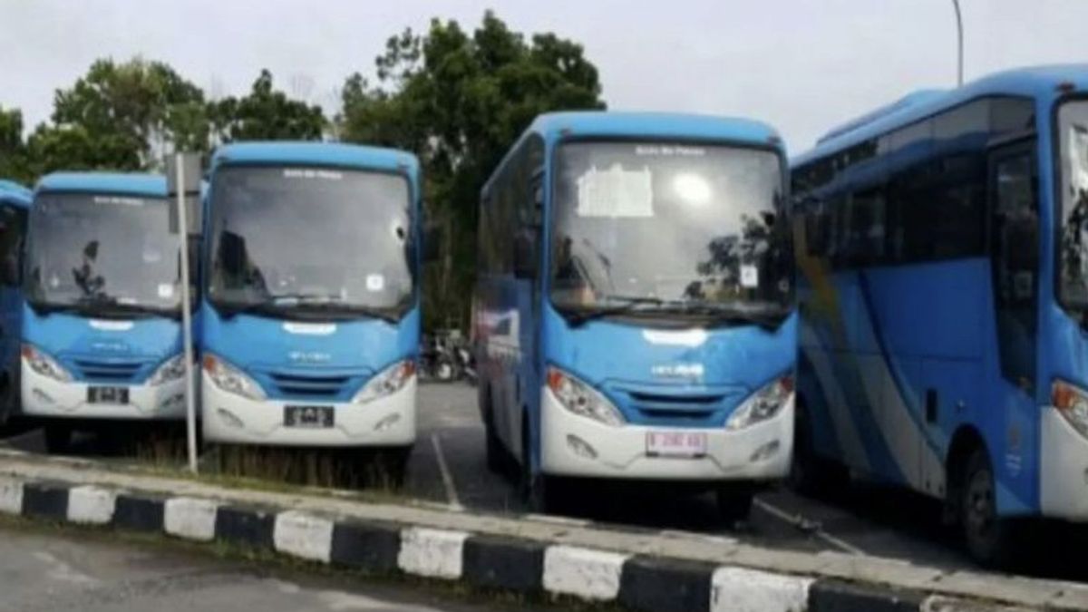 Sambut HUT ke-240 Kota Pekanbaru, Layanan Bus Trans Metro Gratis hingga Besok