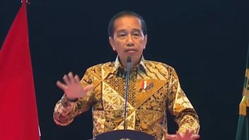 Convinced Of 20-fold Income Pocket, Jokowi Steady Stops Exports Of Tin And Bauxite This Year