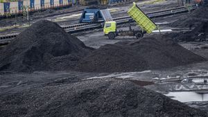 CPO 煤炭,钢铁和钢铁是4月份出口中份额最大的