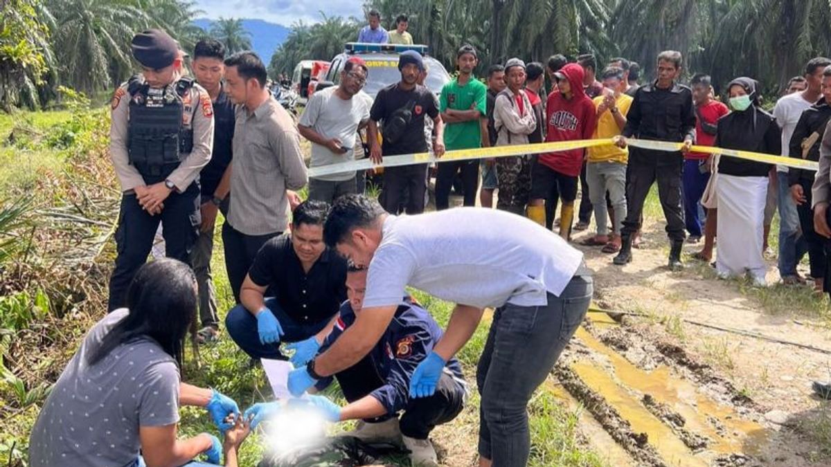 Rajab Juhari Found Dead In Southwest Aceh Palm Oil Plantation, Family Says He Has A History Of North Sumatra