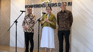 Skandal Cesium 137 di Cikande, Puan Pastikan DPR Siap Lakukan Pengawasan Ketat