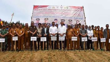 in 80e anniversaire, PTPN IV PalmCo Bantu bibit Padi Gogo 110 Ha