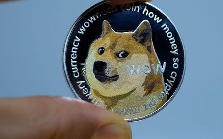 Pria ini Kuras Isi Tabungan Demi Investasi Dogecoin, Untung atau Buntung?