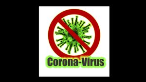 Paparan Pemerintah soal Ketakutan Warga Natuna terhadap Virus Corona