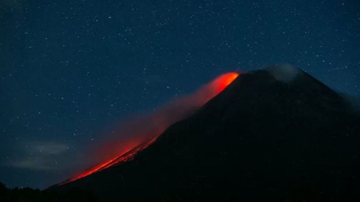 Tetap Waspada! BPPTKG Sebut Gunung Merapi Luncurkan Guguran Lava Hingga 43 Kali dalam Sepekan