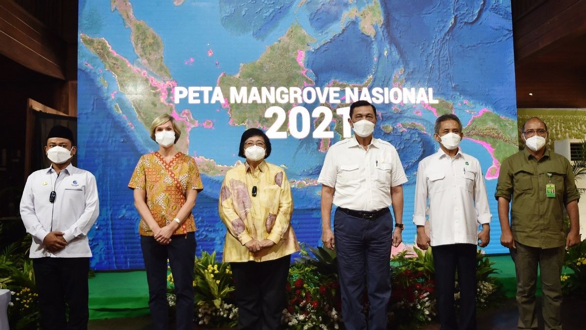 Peta Mangrove Nasional Terbaru Diluncurkan, Jadi Baseline Pengelolaan Rehabilitasi Secara Nasional