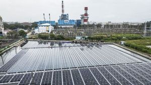 Energi Terbarukan Dunia Naik 15,5 Persen, Rekor Tercipta saat Krisis Energi Mengintai