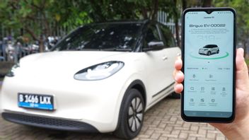 Make Consumers Easier, MyWuling+ Application Now Gets Connected To Wuling BinguoEV