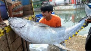 Perbaiki Gudang Pendingin Pangkalan Ikan Manokwari, DKP Papua Barat Prediksi Telan Biaya Rp5 Miliar