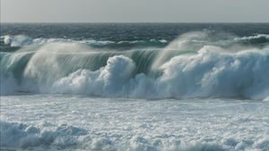 Kondisi Terkini Laporan Ketinggian Tsunami di Pesisir Hawaii hingga California