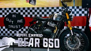 Royal Enfield Hadirkan Bear 650, Scrambler Terbaru di IIMS 2026
