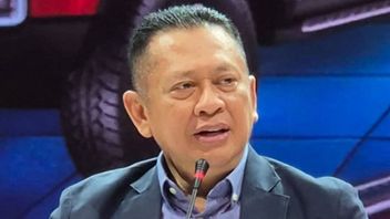 Bamsoet 称之为将个人数据转移到合法国外