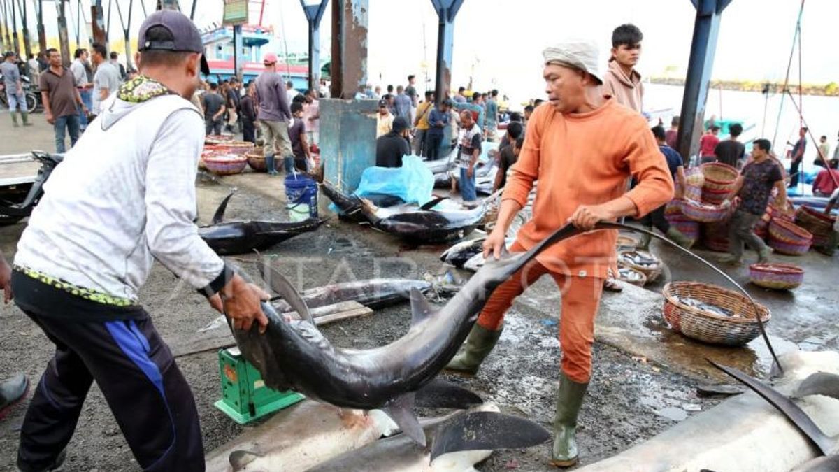 Panglima Laot: Aturan PNBP Perikanan Memberatkan Nelayan Aceh