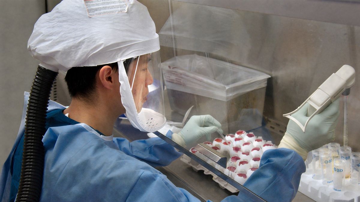 オーストラリアは、誤ったHIV結果を生み出すフェーズ1テストのために国内ワクチンをドロップします