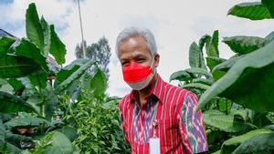 Sokong Pertanian, Strategi Jitu Ganjar Pranowo Genjot Pertumbuhan Ekonomi Jateng