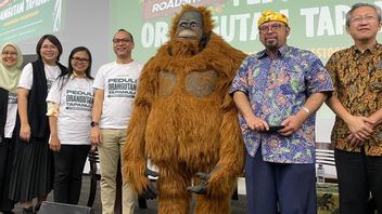 Students Asked To Actively Campaign Caring For Orangutans