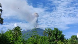 L'éruption du mont Ile Lewotolok avec une éruption volcanique jusqu'à 900 mètres de haut