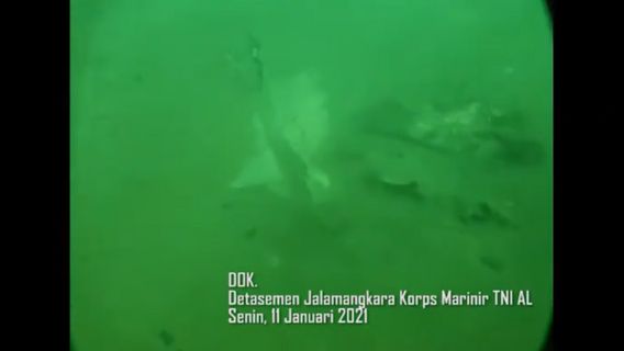 Begini Kondisi Bawah Laut Saat Penyelam Denjaka Sisir Lokasi Jatuh Sriwijaya Air SJ-182