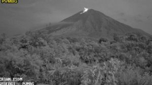 スメル山は400メートルの高さの噴火を伴う再び噴火する