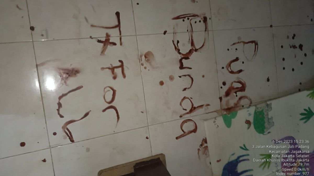 Murder Of 4 Children In Jagakarsa: Message 'Puas Bunda Tx For All' Written By Panca Using His Blood