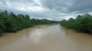 Hujan Deras, Kawasan Bantaran Sungai Ciujung Lebak Banten Siaga Banjir