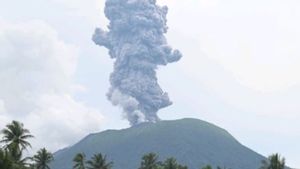 Gunung Ibu Lontarkan Abu Vulkanik hingga 2.000 Meter