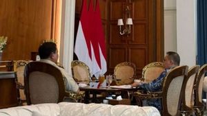 Prabowo Terima Laporan Dasco soal Usulan DPR untuk Pemerintah
